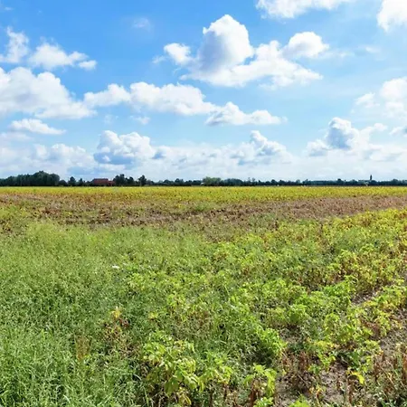 بيت للعطل Cozy For 4 Guests