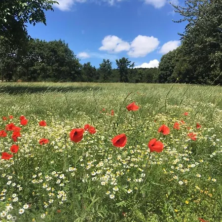 Cozy For 4 Guests * Le Bizet