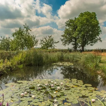 Cozy For 4 Guests بيت للعطل *