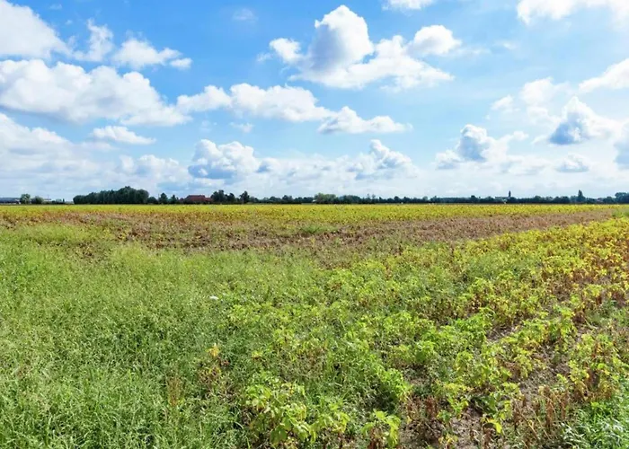 Holiday home Cozy For 4 Guests