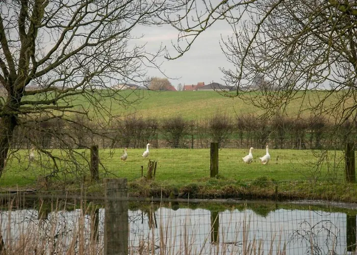 Cozy For 4 Guests Holiday home *