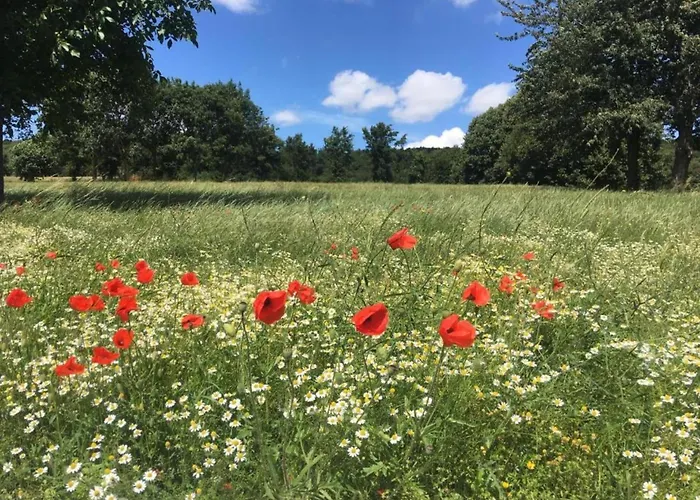 Cozy For 4 Guests * Le Bizet