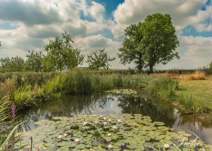 Cozy For 4 Guests Holiday home *