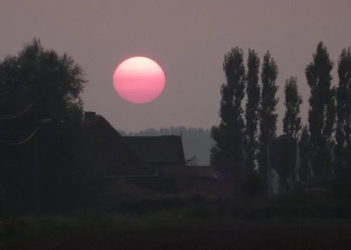 Cozy For 4 Guests Le Bizet